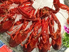 -京悦南门涮羊肉·羊蝎子火锅(田林路店)