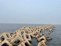 -东疆建设开发纪念公园
