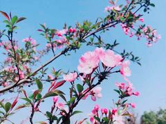 -白塘生态植物园