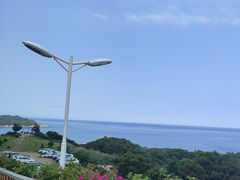 -海胆公主南澳岛美食海鲜
