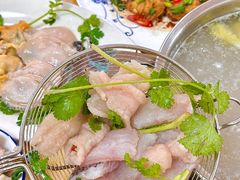 -金砂阿洲鱼册店