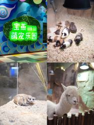 -宝燕乐园(闵行旗舰店)