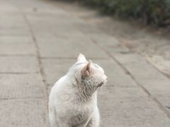 -成都市文殊院