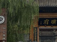 -渭南桃花源民俗文化园