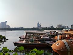 -莲花池公园