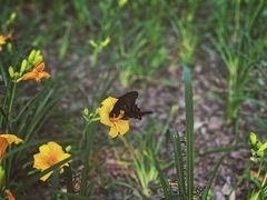 -长春市南湖公园