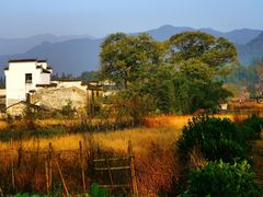 -塔川景区
