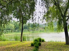 -东郊湿地公园