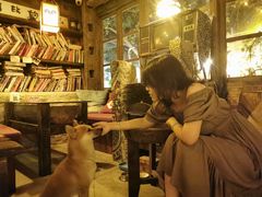 -城墙外BAR