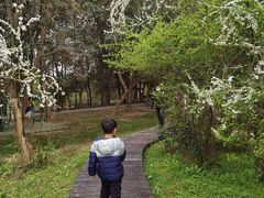 -东湖落雁景区