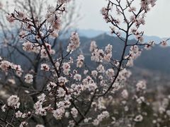 -八达岭长城