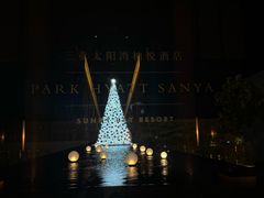 -三亚太阳湾柏悦酒店