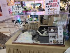 -万达广场(北一路店)