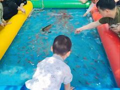 -小鱼草莓采摘园农家乐·小鱼餐厅