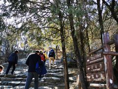 -阳台山自然风景区