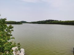 -塘沽森林公园