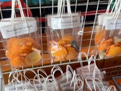 -蓝湾碧波·老字号·疍家非遗海上餐厅
