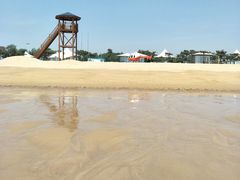 -日照海滨国家森林公园