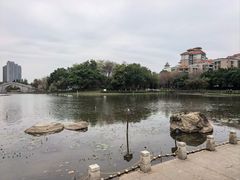 -映月湖公园