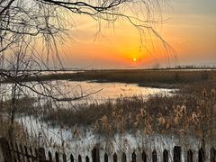 -野鸭湖国家湿地公园