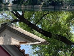 -Animate(工人体育场东路店)