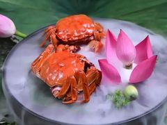 -王宝和酒家(黄浦店)