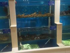 水产区-福泉海码头(六里山店)
