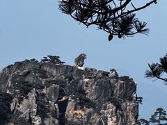 -黄山风景区