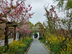 -南汇桃花村