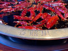 -春熙里老火锅(春熙路店)