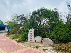 -广东惠东海龟国家级自然保护区