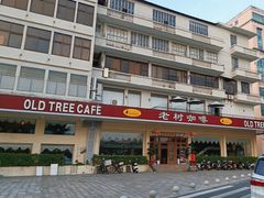 -OLD TREE老树咖啡·西餐厅(台山人工湖店)