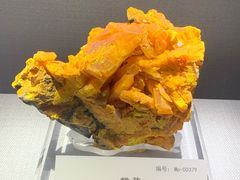 -湖南省地质博物馆