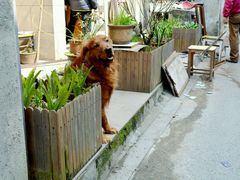 -杭州西湖风景名胜区-满觉陇四眼井
