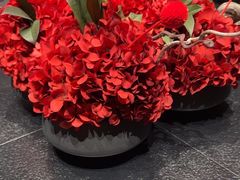 -大拙里·精致融合菜(沙湖桃源国际店)