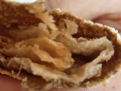 -清真·二嫂子煎饼果子(卫津路总店)