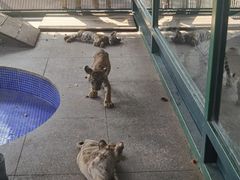 -秦皇岛野生动物园