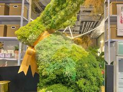 -PlantsEatery·植物食堂(REX春熙店)