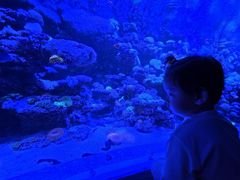 -太平洋海底世界