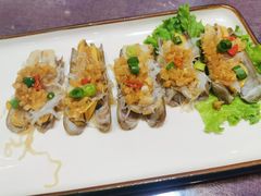 蒜蓉大管蛏子-韩记海鲜饺子旗舰店(红海新区店)