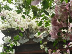 -深圳国际园林花卉博览园