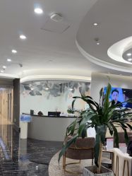 -上海首尔丽格医疗美容医院