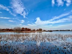 -贡湖湾湿地公园