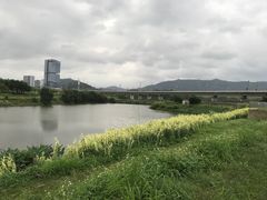-光明小镇欢乐田园