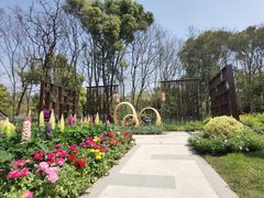 -上海共青森林公园