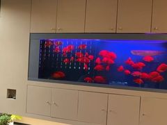 -宫七SPA·高端Massage(浦东大道店)