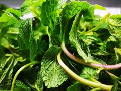 -黔府豆米火锅野菜馆(南马店)