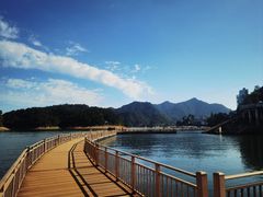 -黄山太平湖风景区