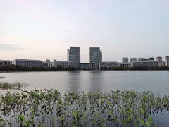 -尚贤河湿地
