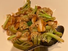 -悦海堂(金融街购物中心店)